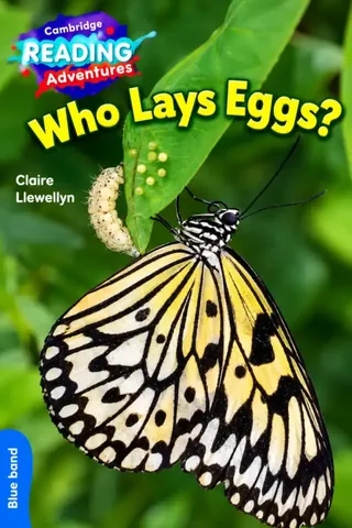 LGS Nursery – Who Lays Eggs? (Cambridge Blue Band Reader) 2027-28