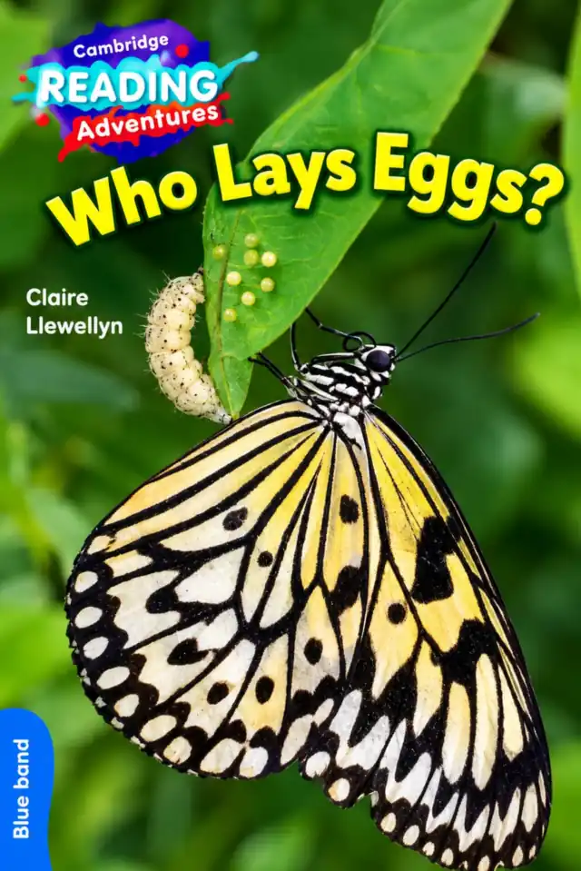 LGS Nursery – Who Lays Eggs? (Cambridge Blue Band Reader) 2027-28